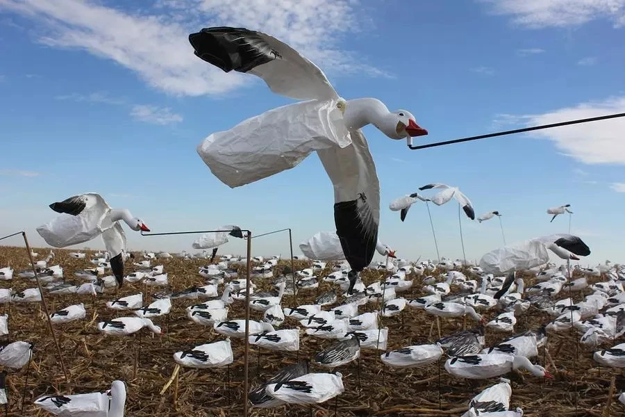 mallard duck decoys flocked duck decoys for sale