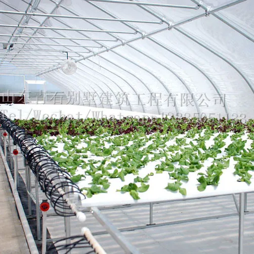 Venlo Multi-span Glass Greenhouse for Commercial with Indoor Hydroponic NFT Systems