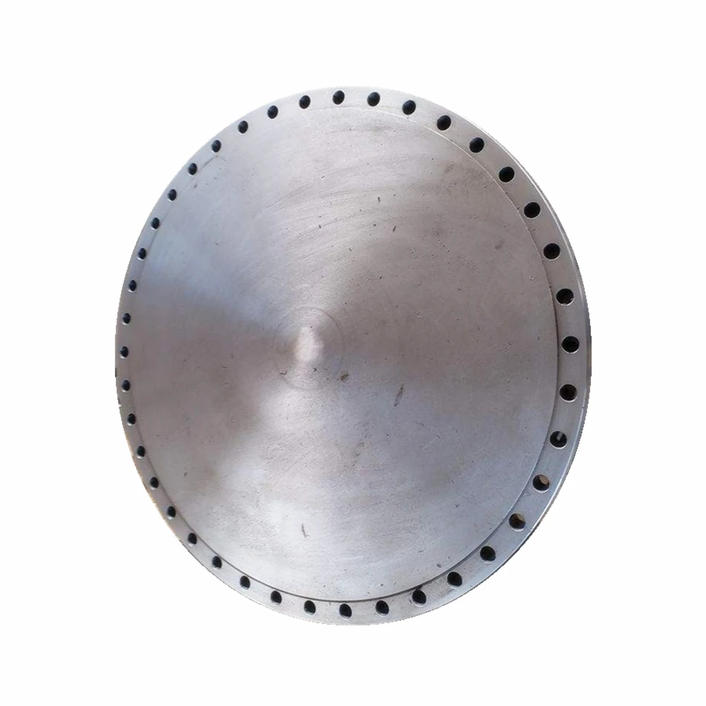 Stainless Steel Durable Flat Size Flange Cover With Threaded Holes