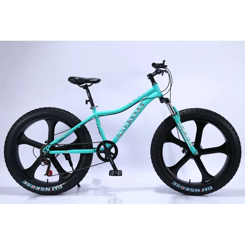  2021 hot sale High quality Fat Tire Snow