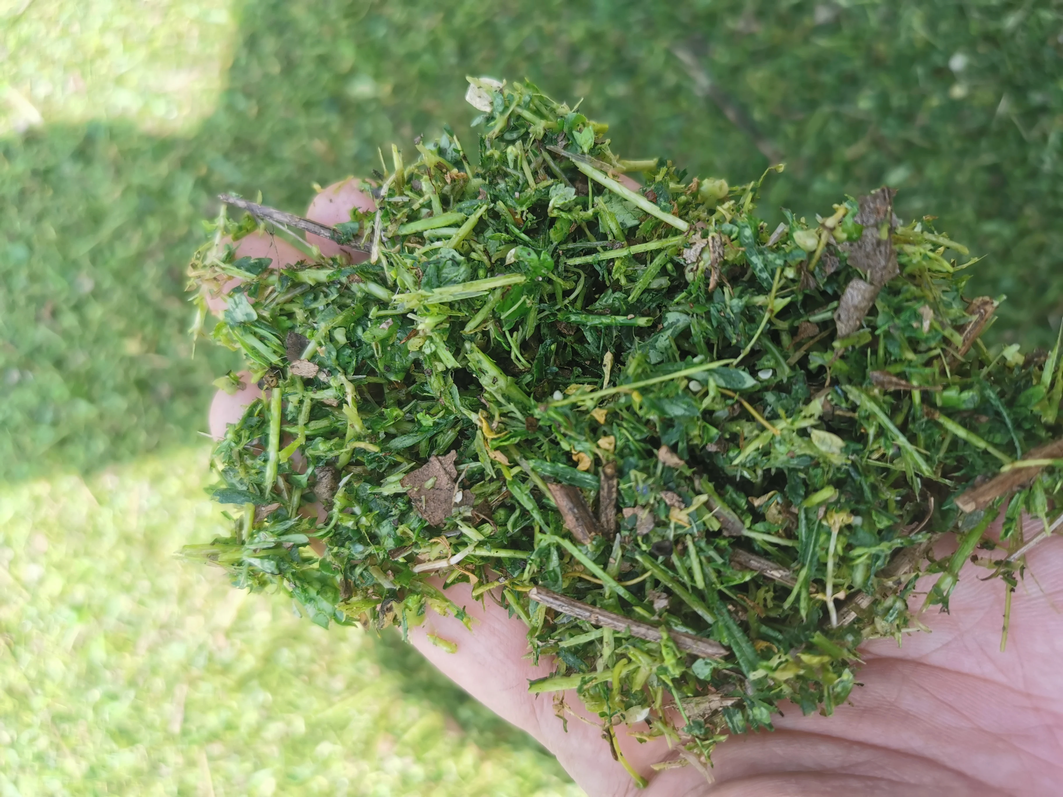 straw crush and kneading machine can crush and kneading straw grass