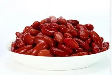Chinese canned dark red kidney beans in brine with high quality