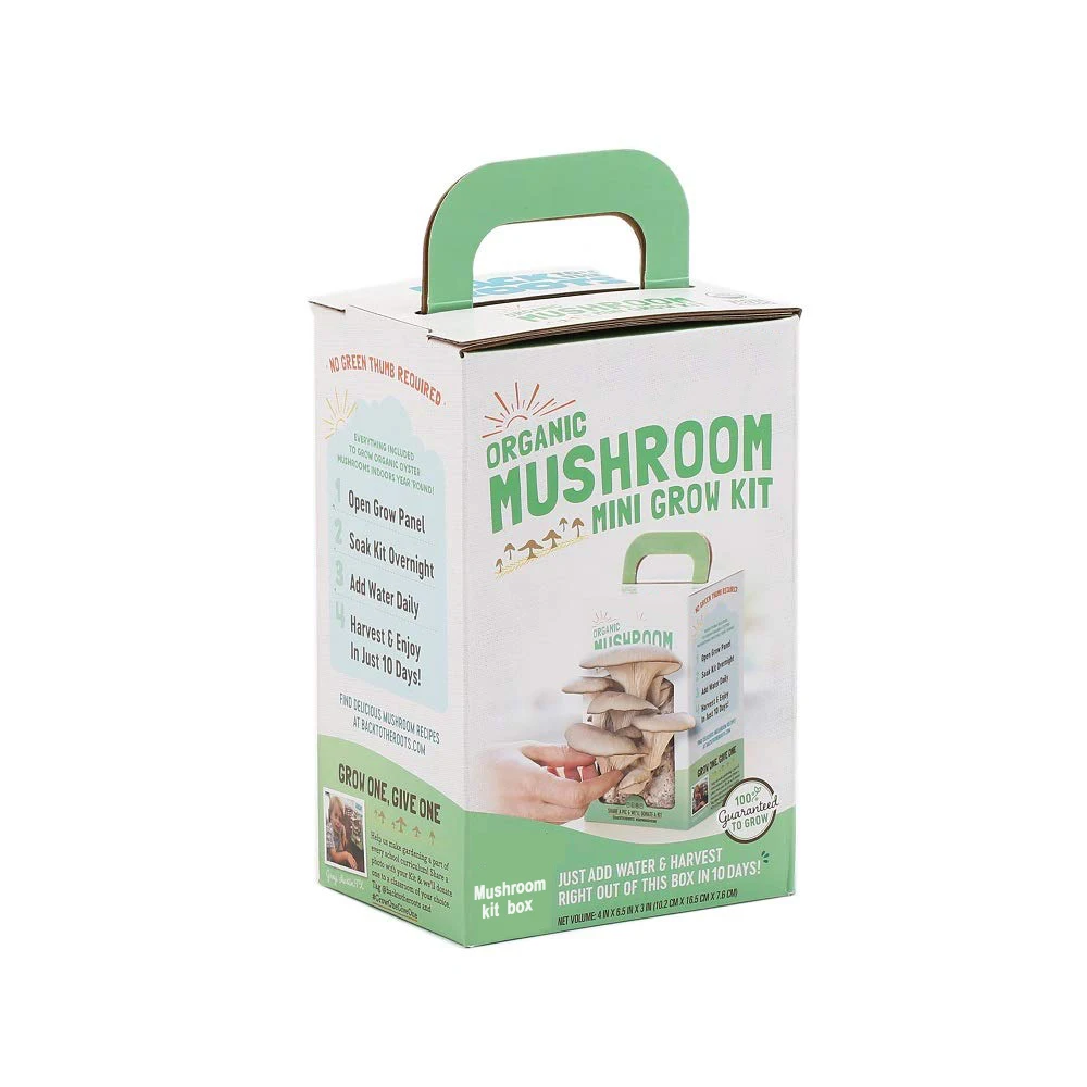 Wholesale Custom Print Portable Corrugated Cardboard Paper Fresh Organic Oyster Mushroom Growing Grow Kit Box Boxes And Pp Bags