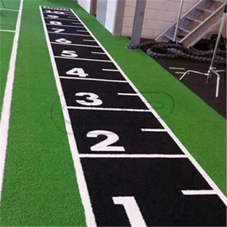 custom artificial grass for gym