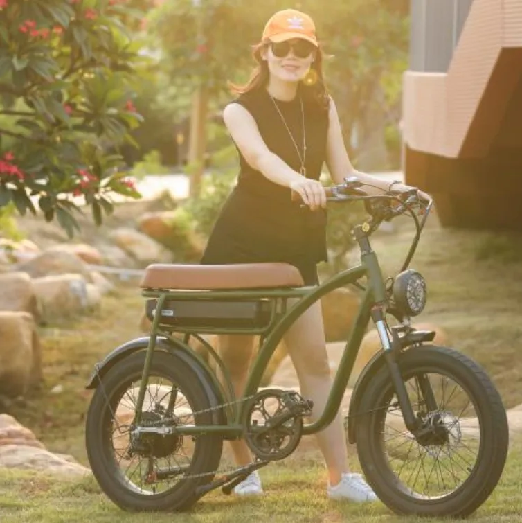 2023 low price cheap off-road new design Vintage fat tire hub 500w motor 20 inch wheels e bicycles electric bikes for adults
