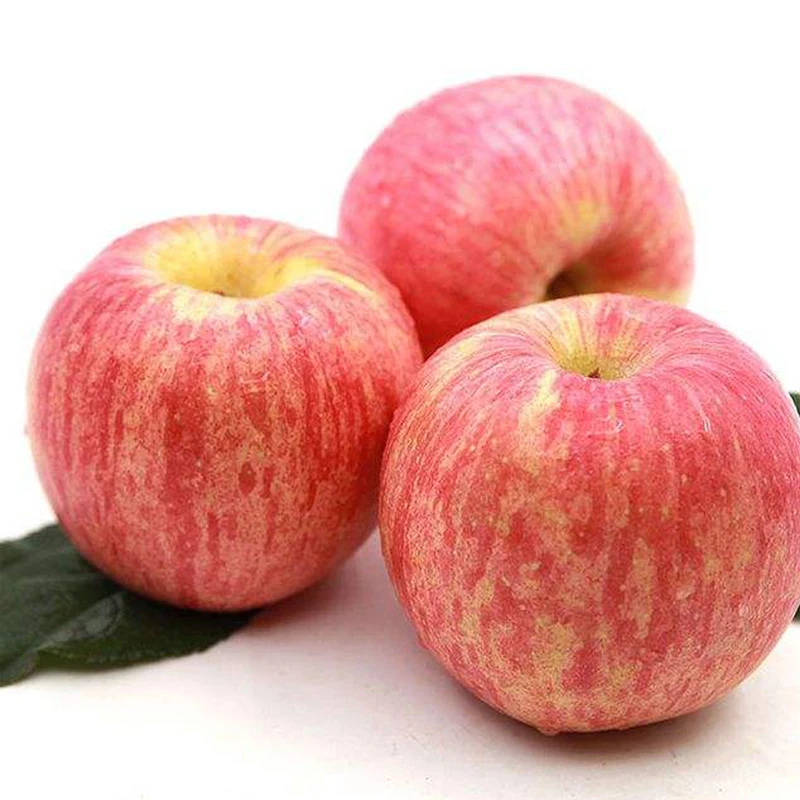 Wholesale Good Price High Quality  fruit fresh red fuji apple