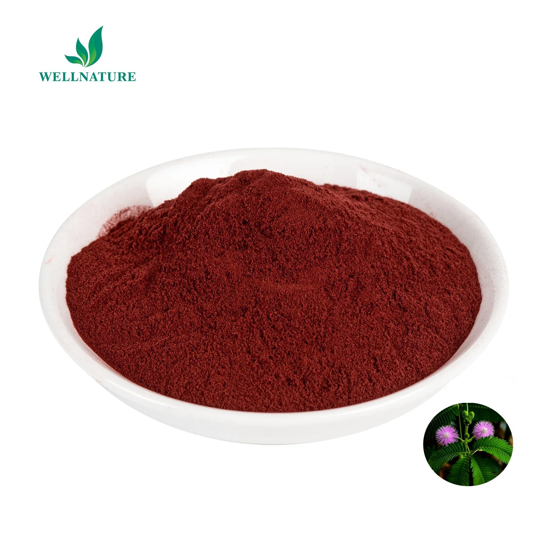 Mimosa Root Bark Extract Powder 10:1 Mimosa Bark Extract Mimosa Extract