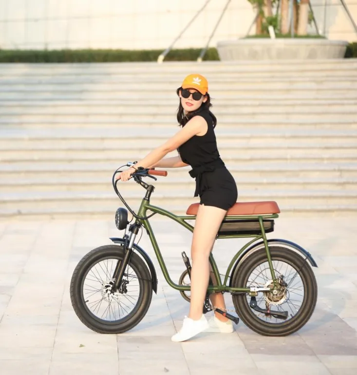 2023 low price cheap off-road new design Vintage fat tire hub 500w motor 20 inch wheels e bicycles electric bikes for adults