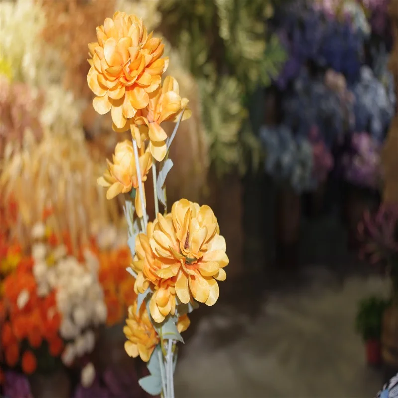 Гарантия качества сухие цветы декоративные букеты Zinnia Angustifolia для свадеб и школьных стен