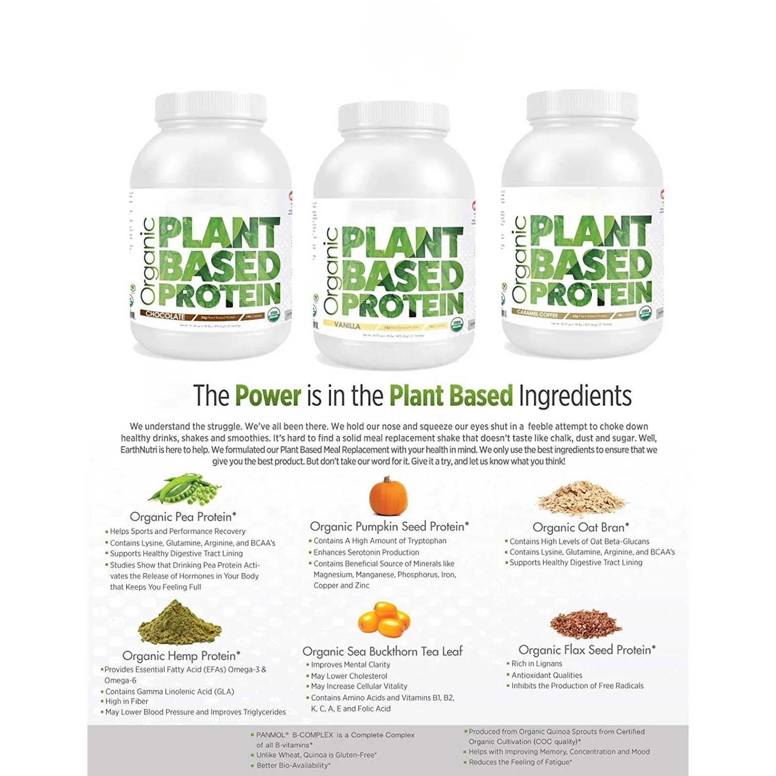 Private Label for Muscle Building Plant Based Organic Vegan Bean Pea  Protein Powder