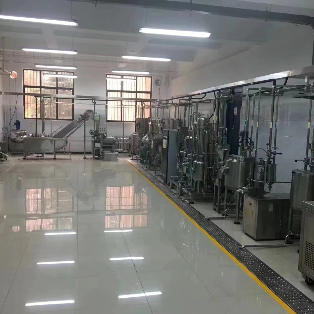 200kg/h Small fruit  juice production line / vegetable juice  processing line