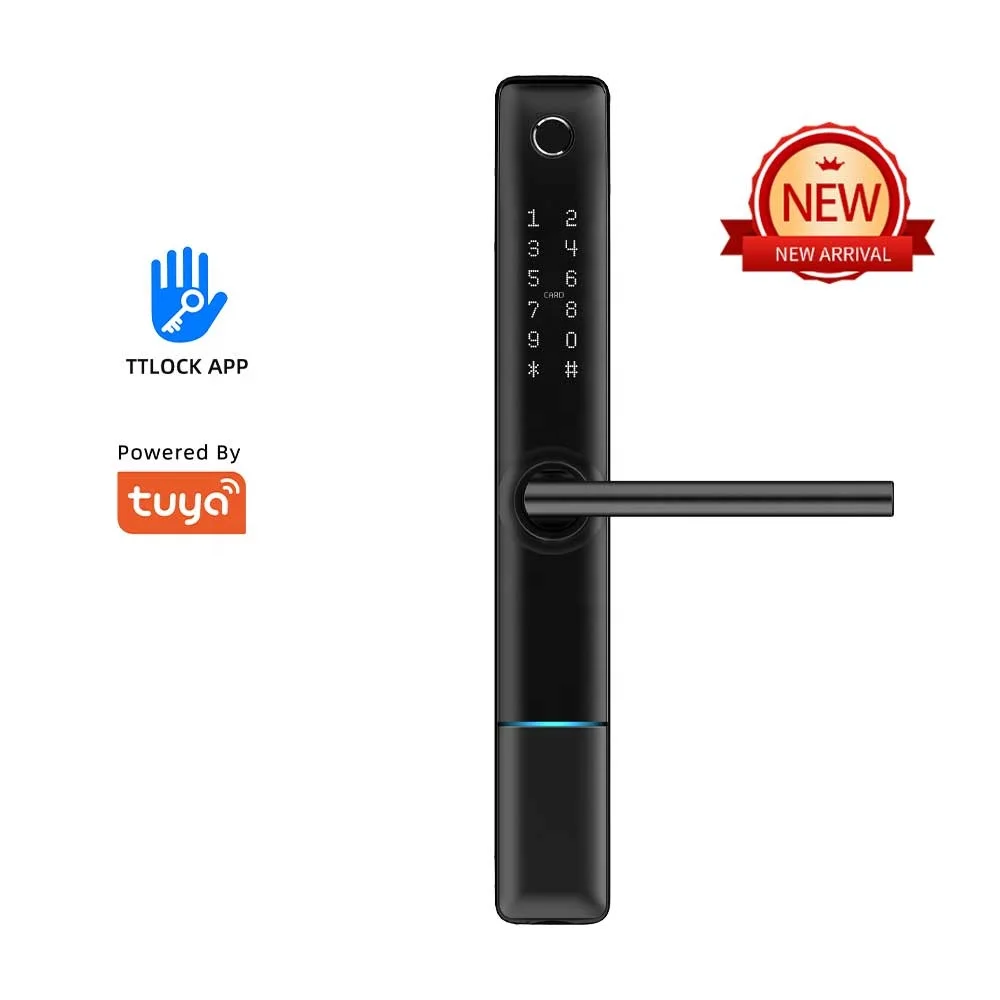 High Quality Waterproof Safety Electric Smart Outdoor Gate Lock