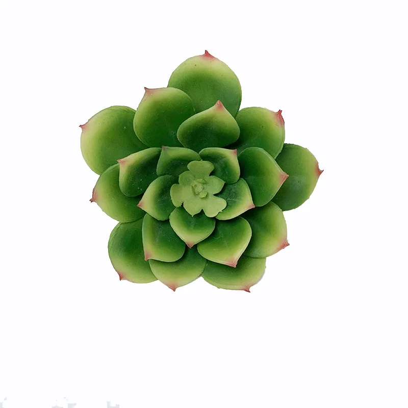 Factory Direct House Plants Artificial Wholesale Artificial Mini Succulents