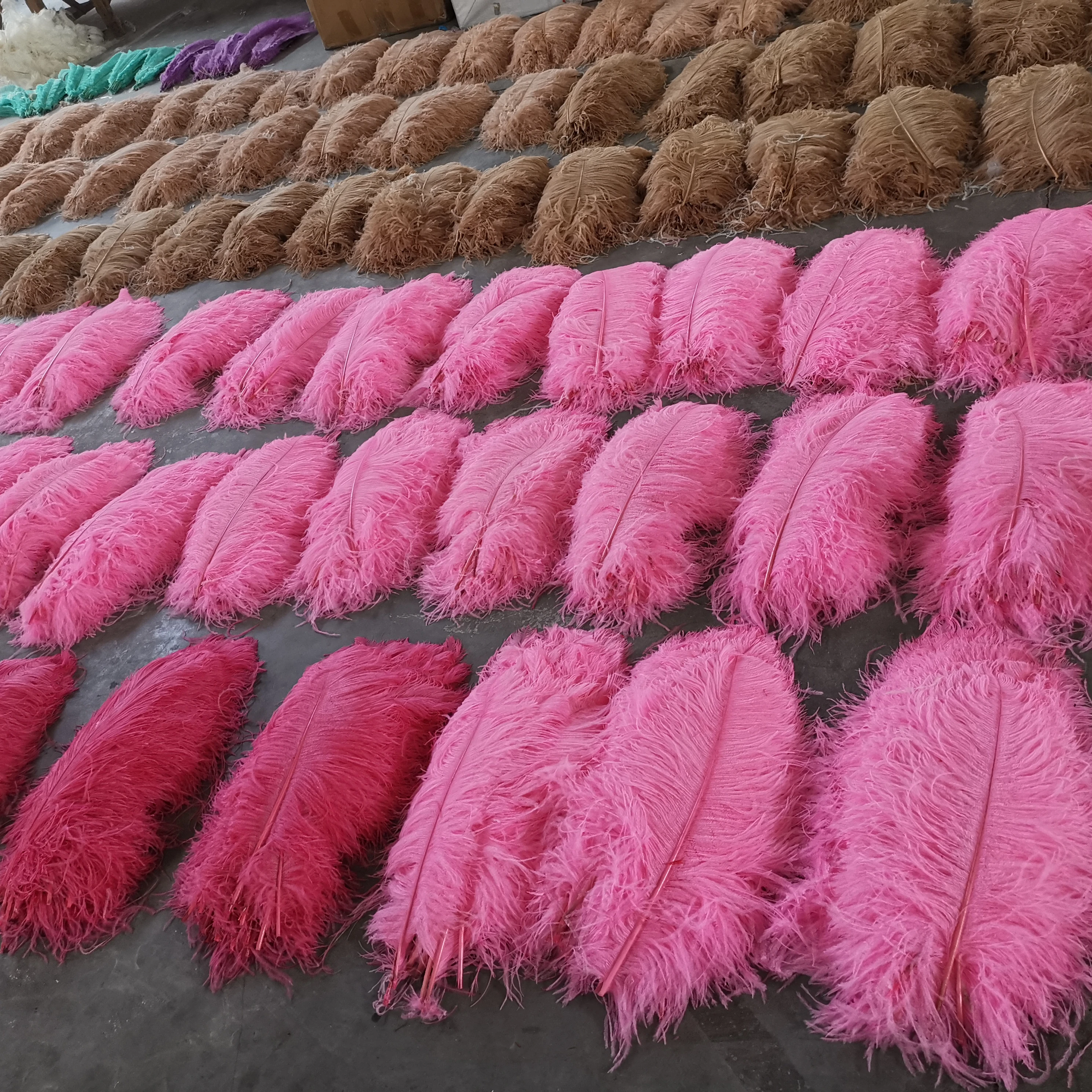 Factory Wholesale Cheap White and Dyed Ostrich Feathers for Sale and Carnival Costumes