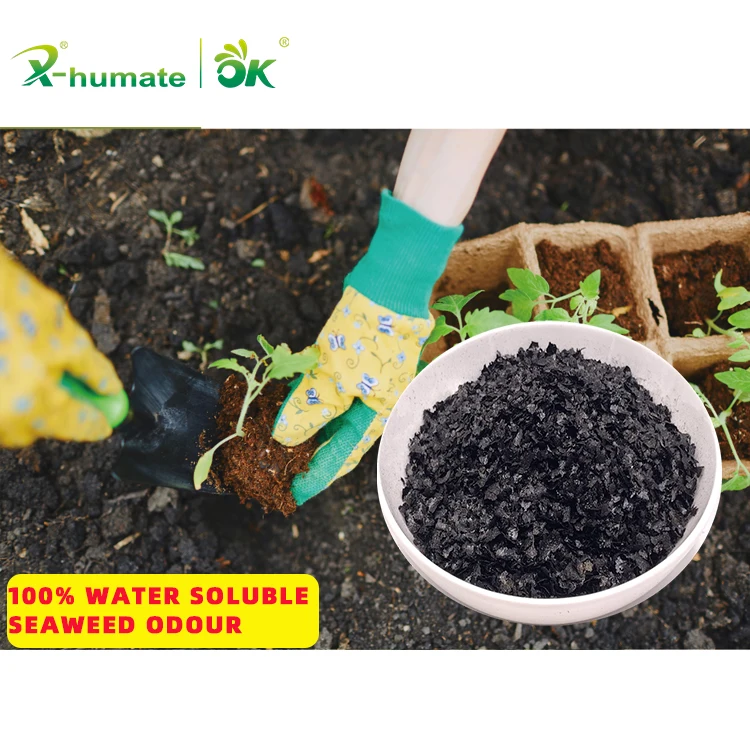 X-HUMATE Фирменная китайская фабрика ISO 9001 органический сертификат водорослей экстракт Сделано в Китае
