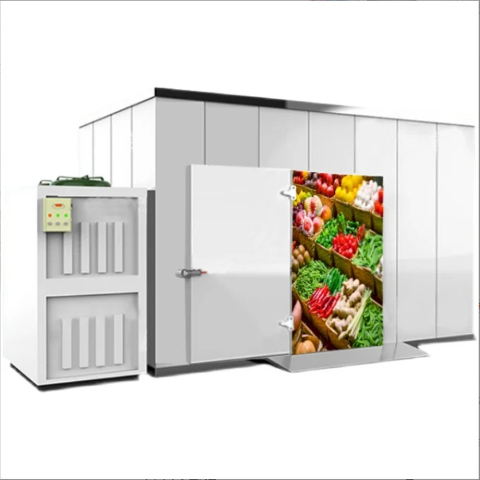 Aidear 10 Years Design Experience Solar Panel Powder Built-in Battery Deep Freezer Cold Storage Room