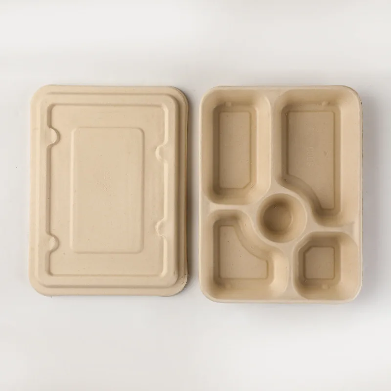 Recyclable 5 compartment  Disposable Biodegradable Sugarcane Bagasse pulp Tray lunch box Packaging With Coating Lamination Film