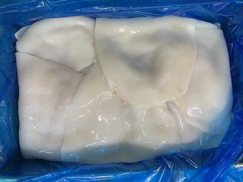 Factory price High Quality Promotion Giant Squid Fillet