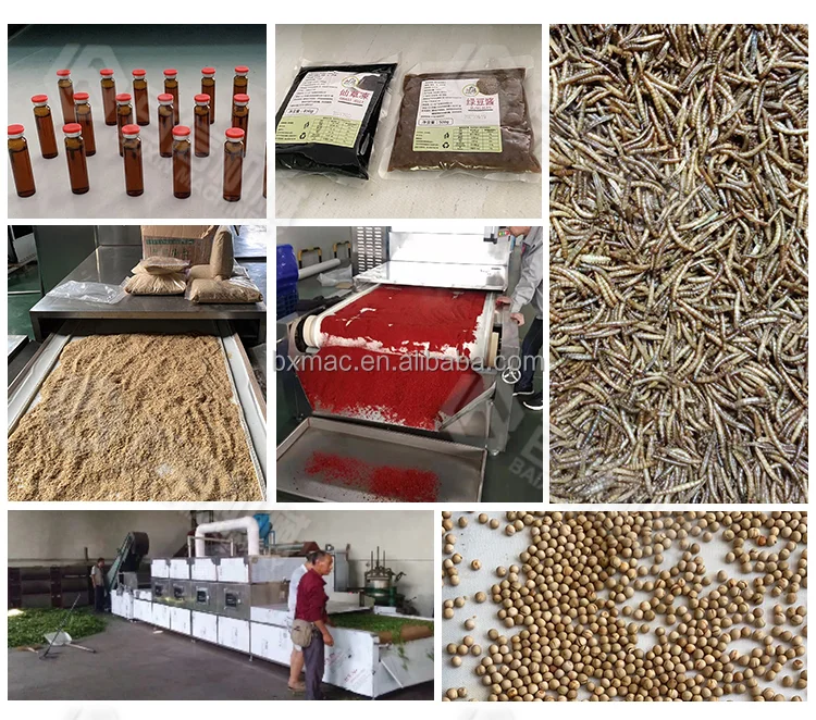 Microwave Shrimp Dryer Seafood Snacks Drying Sterilization Ripening Machine