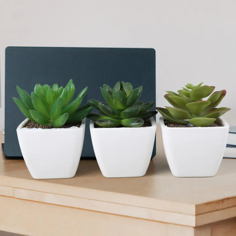 DREA Indoor and Outdoor Decor Plastic Durable Plant Mini Artificial Succulent Planter Flower Pot for Desk Plants