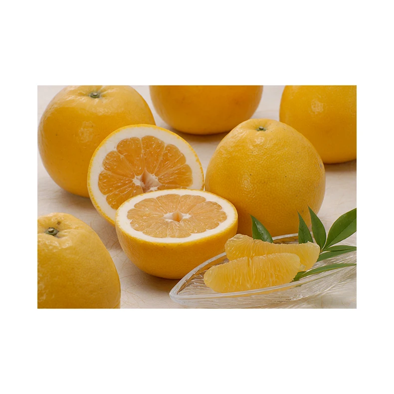 Japanese wholesale export fruit vegetable vegetable with good quality