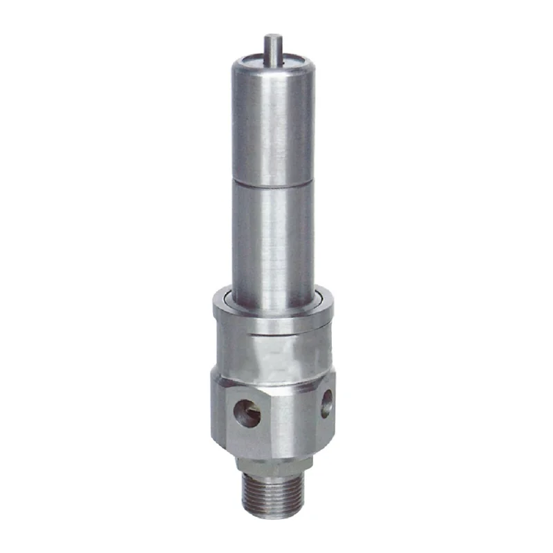 Pressure Relief Valves Cast Iron Spring Loaded Full Lift Air Water Steam Boiler thread Safety Valve