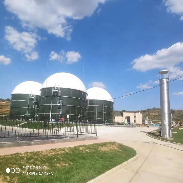 Biogas digester waste treatment plants industrial CSTR for cattle farm biogas electrostation bts