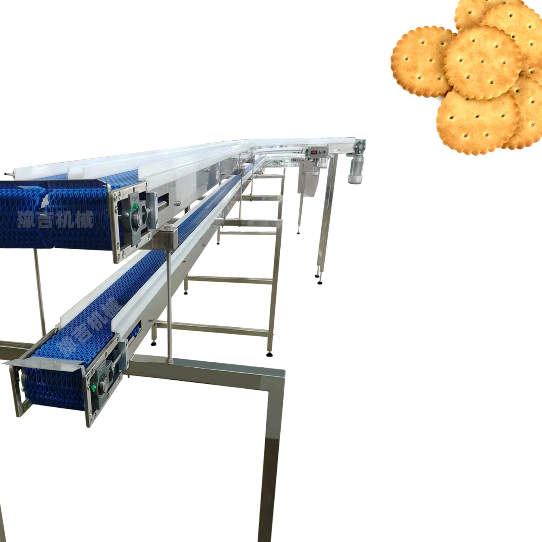 Factory customized food grade plastic plate chain conveyor for carton, beverage, cookie conveying