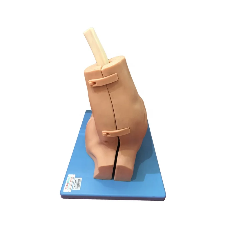 GD/LV77 General Doctor Advanced Shoulder Arthroscopy Model skill trainer