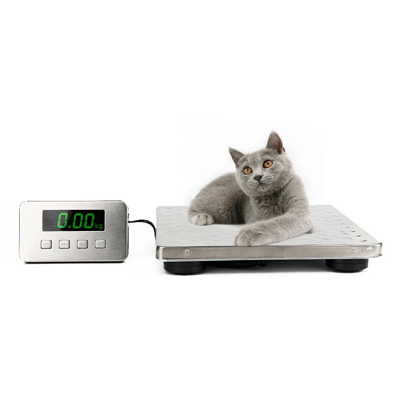 Stainless steel platform scale Multi-range mail parcel pet express scale 60-300kg parcel scale