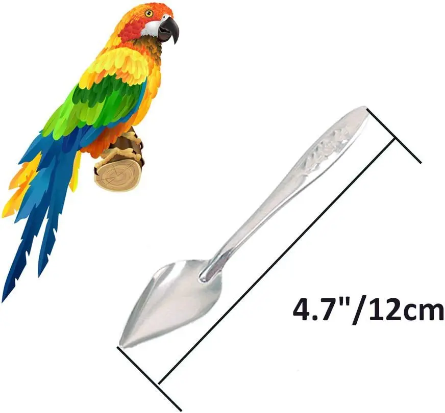 Pet stainless steel spoon Parrot Myna Grackle Black phoenix Tiger skin BB chick baby bird feeding spoon can be customize package