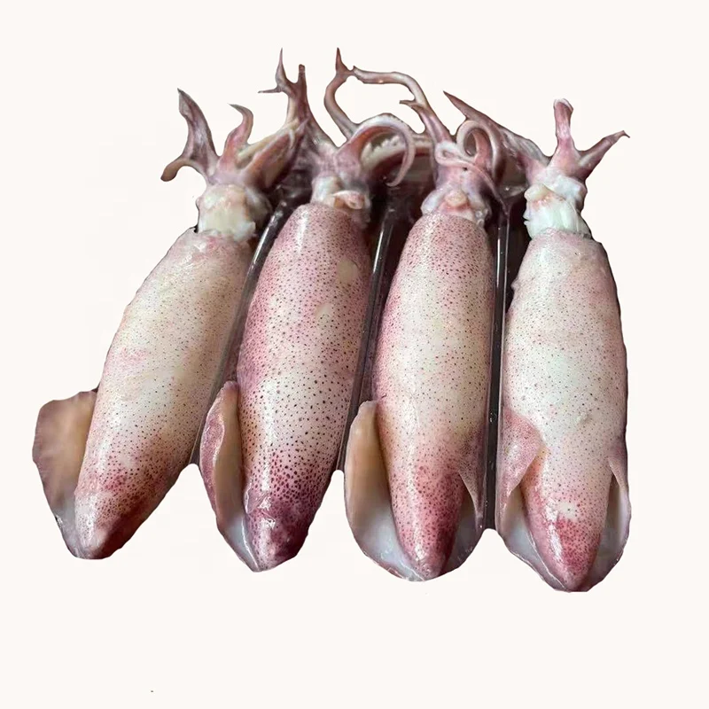 Seafrozen roe loligo squid small squid boiled California squid