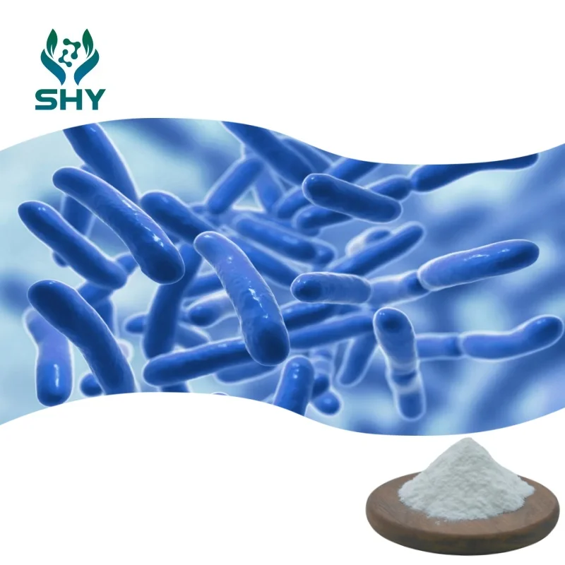 Лидер продаж порошок пробиотиков Lactobacillus Rhamnosus чистый