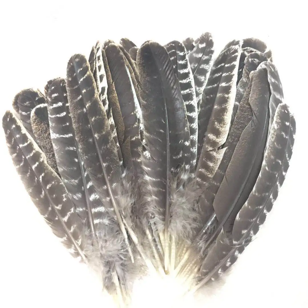  Spot wholesale High Quality Feather diy turkey feather 15-30cm
