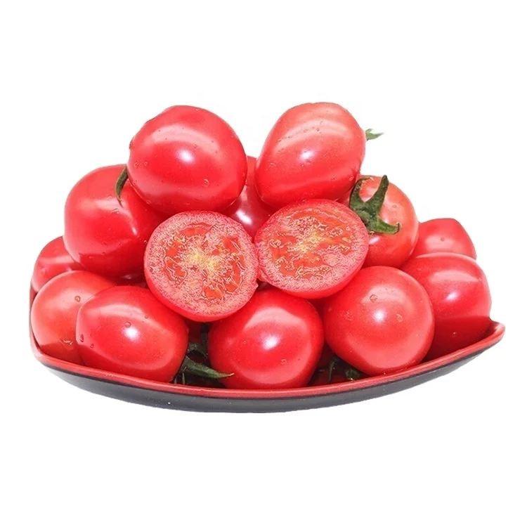 
High quality cherry tomatoes bulk tree plant cherry tomatoes dried tomato cherry 