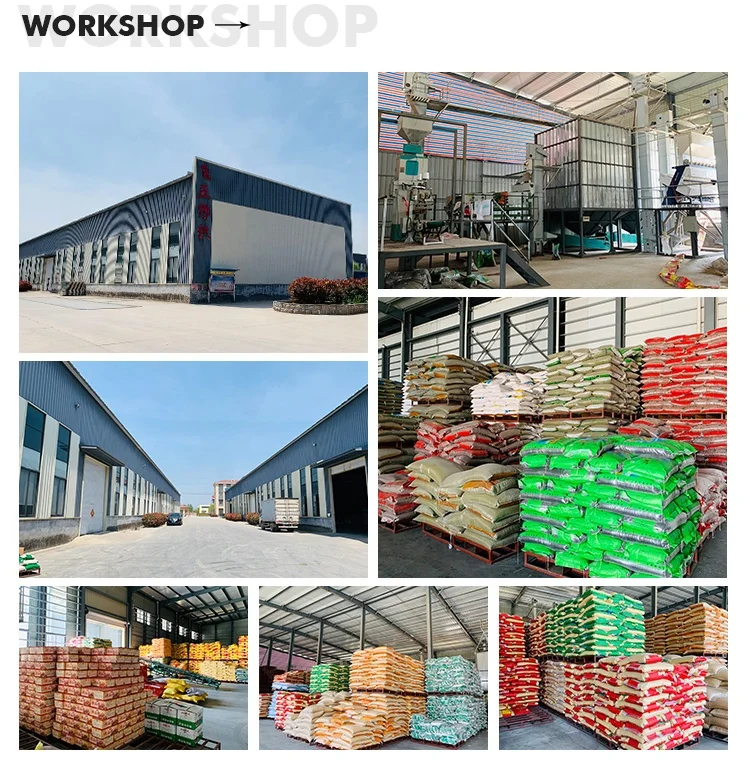 Vacuum Packed Natural Non-Gmo Soybeans Soya Bean Soybean