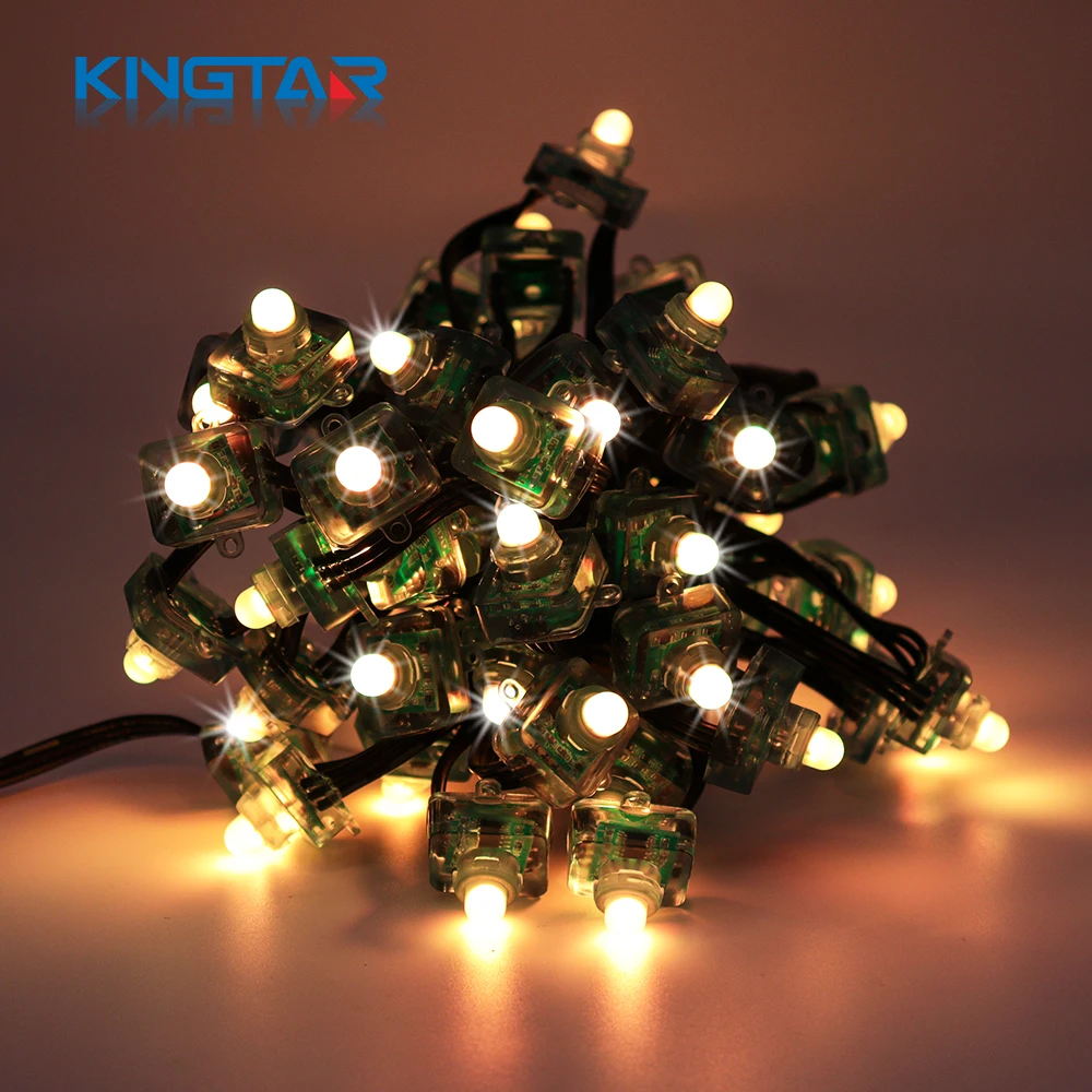 Christmas Pixel Point String Light WS2811 0.3W/0.6W/pcs 12mm Square LED Decorations IP68 Landscape Lighting