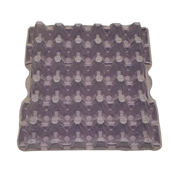 Egg Container Making Machine