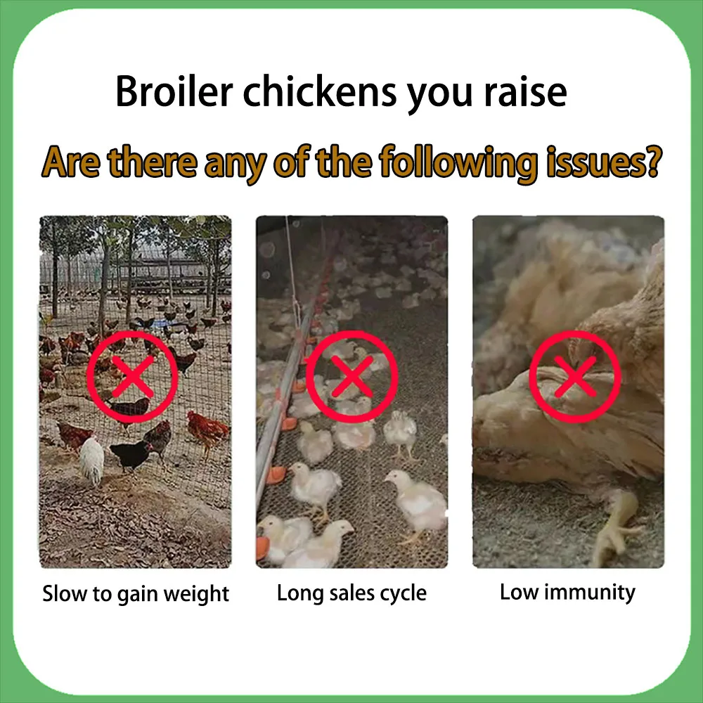 0.5% broiler chicken premix vitamin for broiler chicken to gain weight
