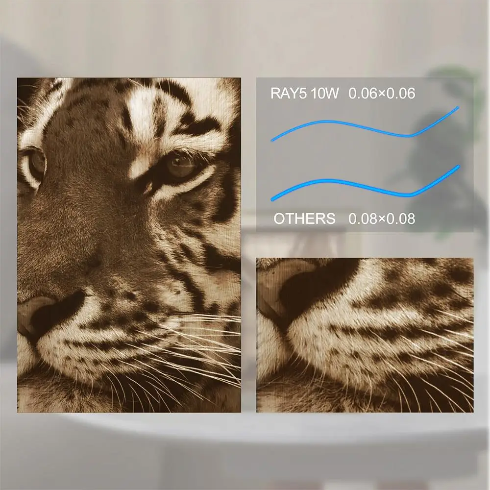 LONGER RAY5 10 W Laser Cutting Machine Laser Engraver Multiple Ways for Data Transfer  Wide Software Compatibility