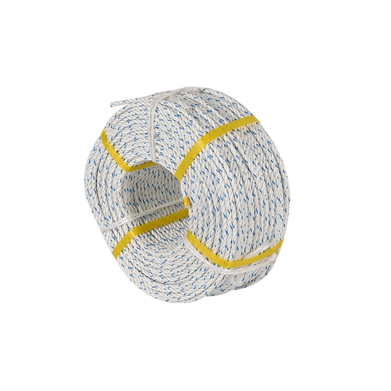 Polypropylene Material White Color Wth Blue Trace Twisted Packing Rope PP Danline Rope