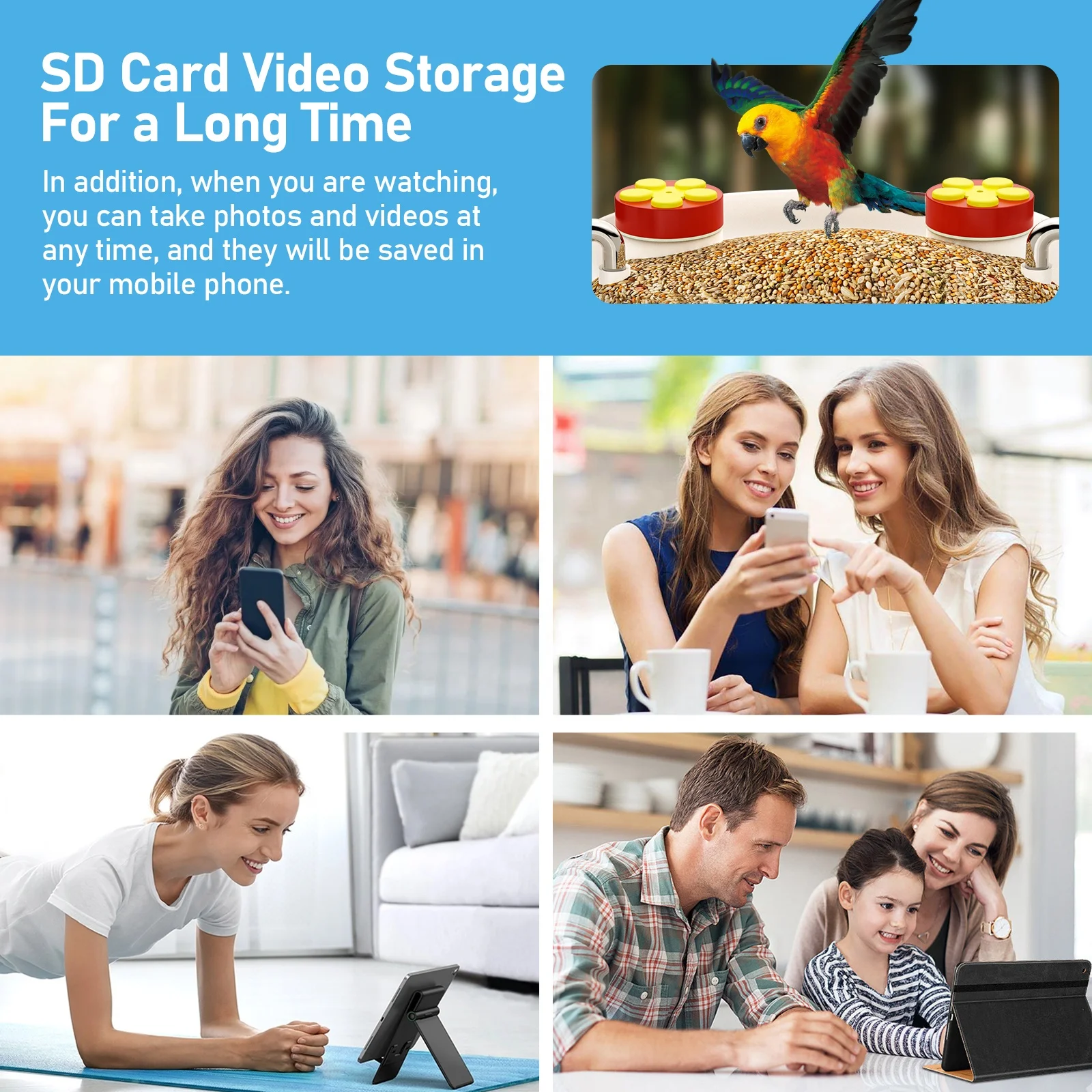 2024 Smart Ai Identify Bird Breed wildlife monitoring  Night Vision Bird Feeder With Camera