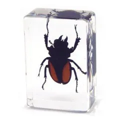 DIY  Resin Art Cast Clear Epoxy Resin 10 cm Casting