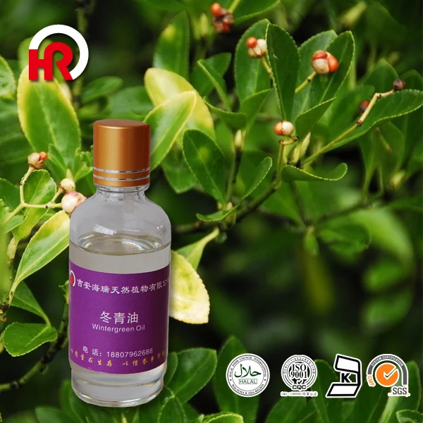 Chinese manufacturer hot selling wintergreen essential oil CAS 68917-75-9 wintergreen oil for dephlogistication and analgesia