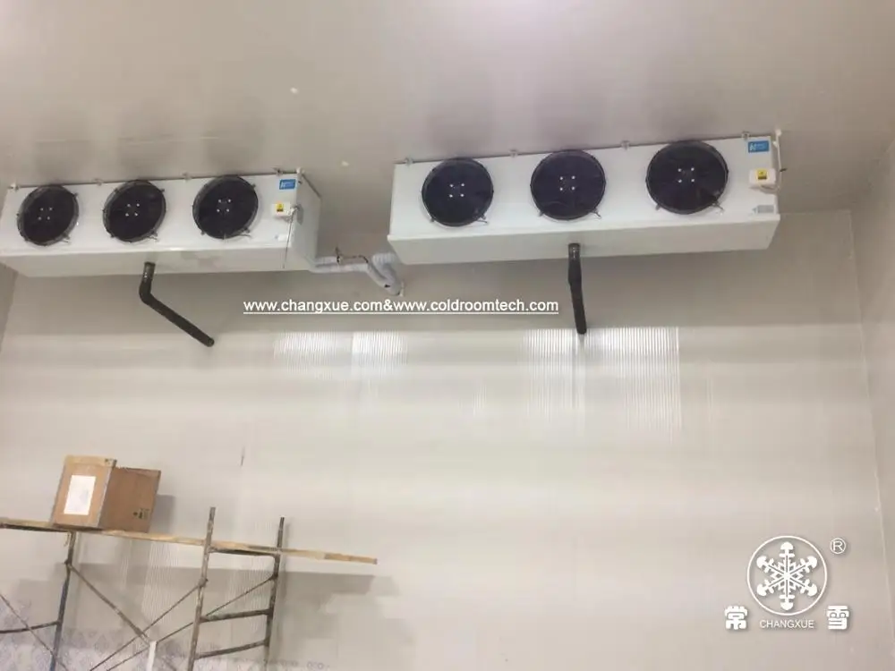 Automatic sliding cold storage door for cold room