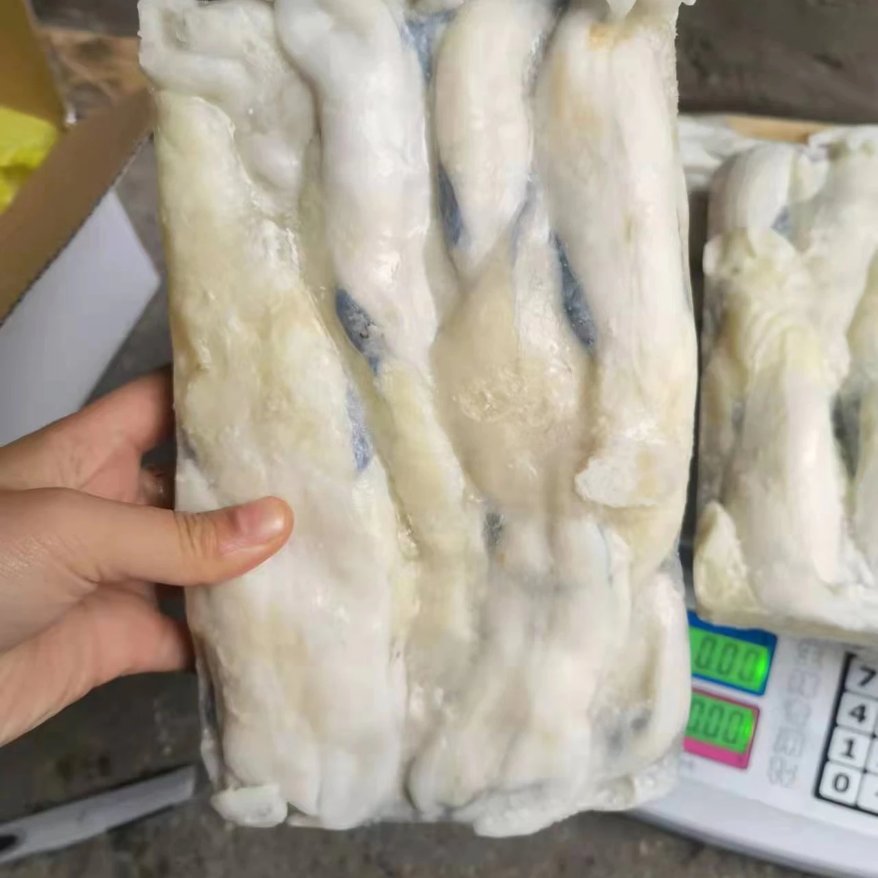 salable  illex squid roe from China