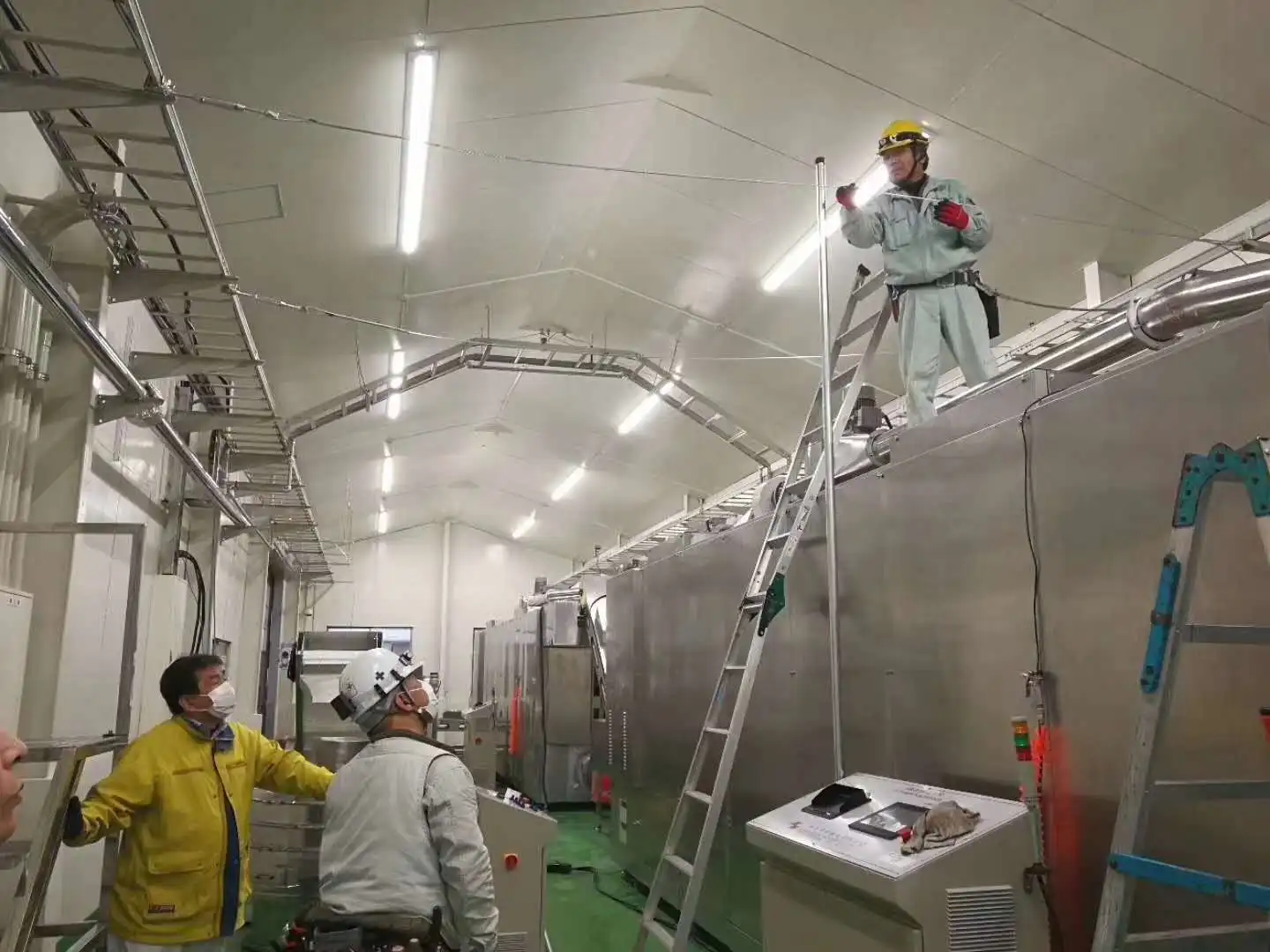 Complete processing line pet food production line fish dog cat feed making machine