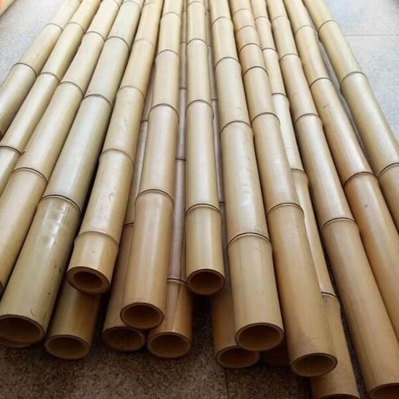 Bamboo Cane Big Pole Natural Straight Agriculture Cheap Raw Bamboo  Plant Support 3