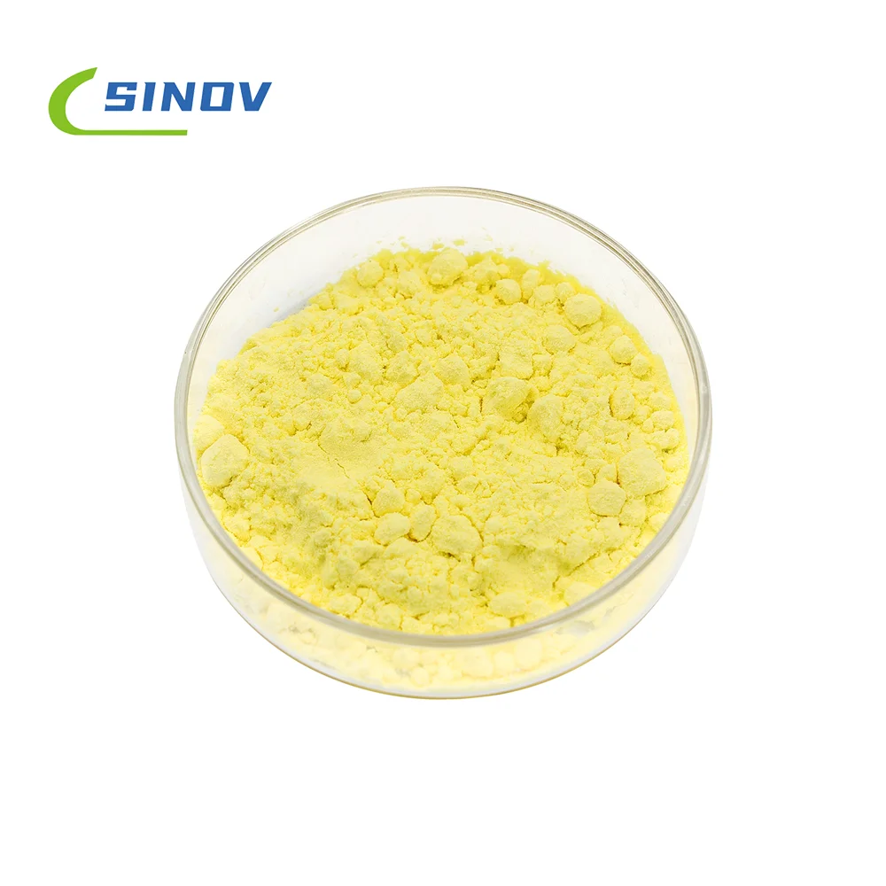 Wholesale Bulk Water Soluble Gingerol 1% Ginger Root Extract Pure Gongerol Powder