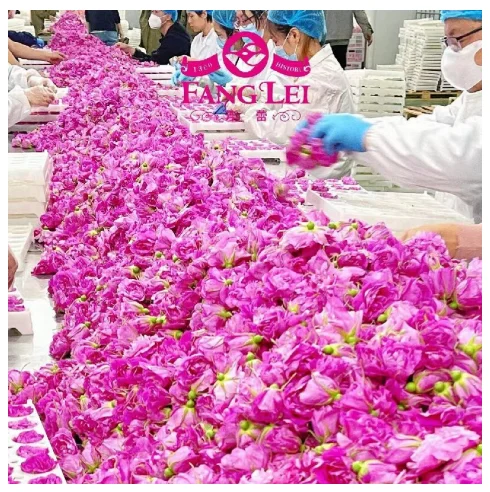 Distinctive Dried Rose Corolla Tea Aromatic Nutrient-Rich Dried Rose Corolla Tea